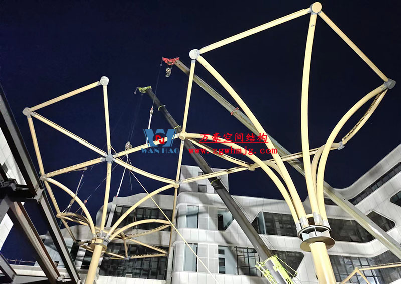 中國東盟特色商品匯聚中心膜鋼構工程火熱施工中